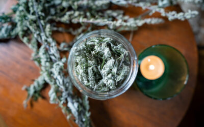 Friends with Benefits: You & Mugwort