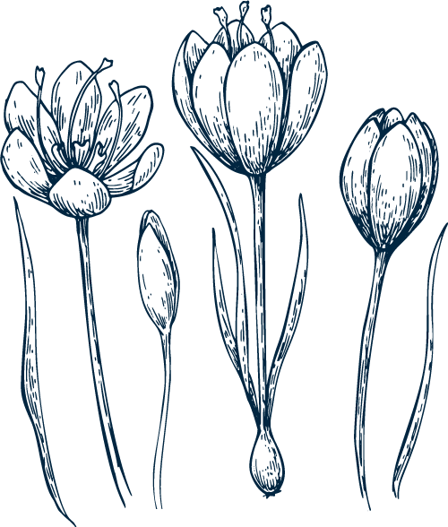 saffron for depression