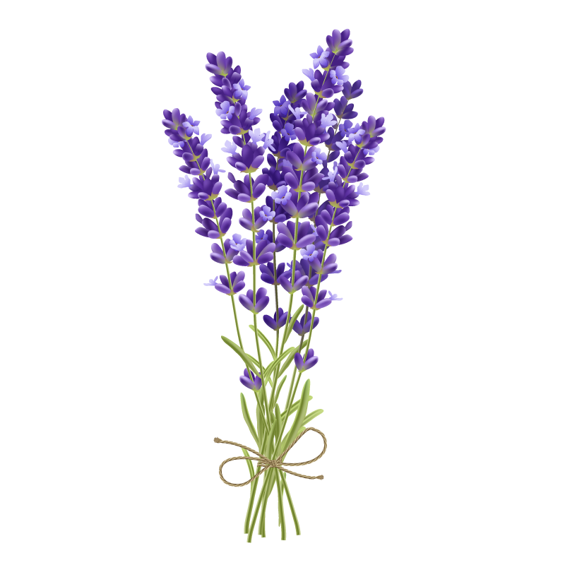 Lavender