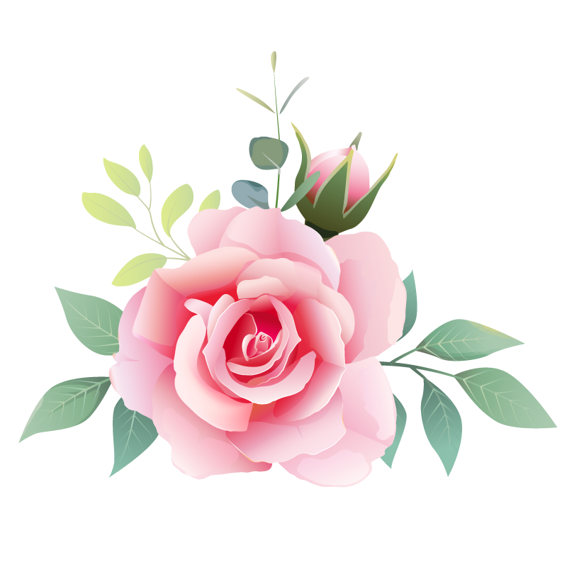 Rose Petals
