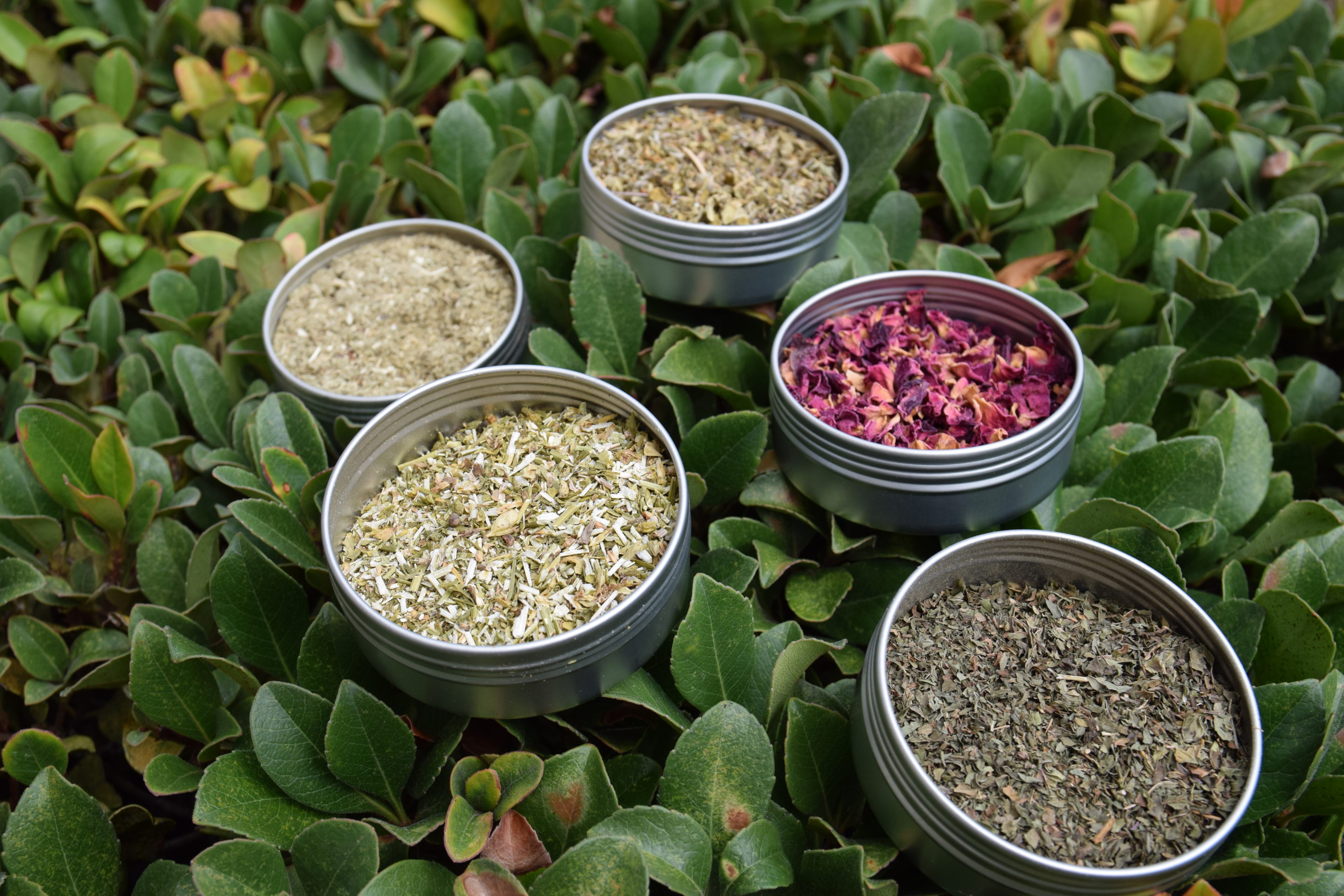 smokable herbs and lobelia