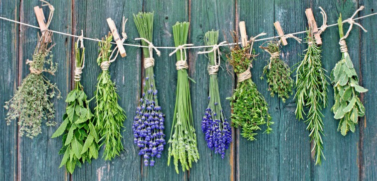 The Benefits of Smoking Herbs
