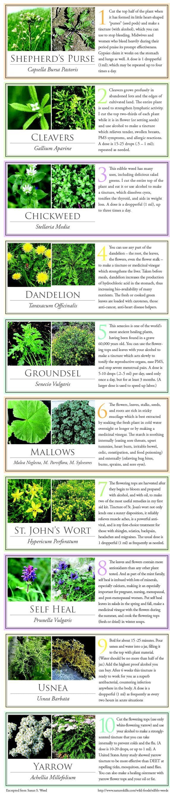 weeds