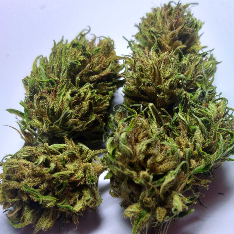 Hemp Flower