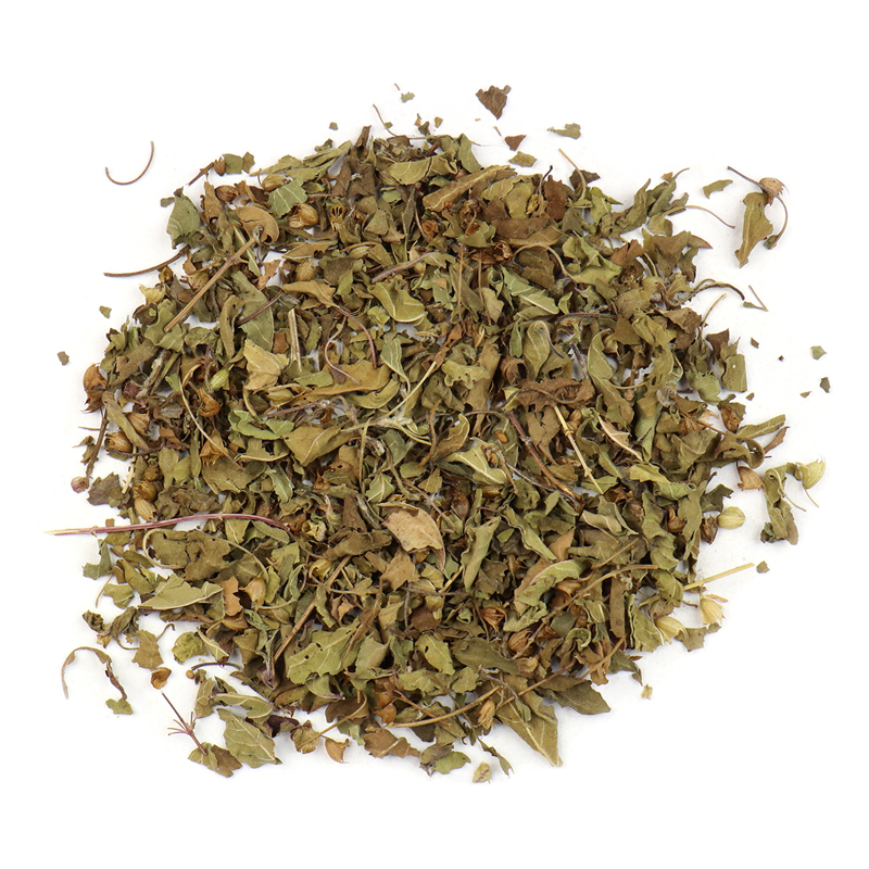 Holy Basil