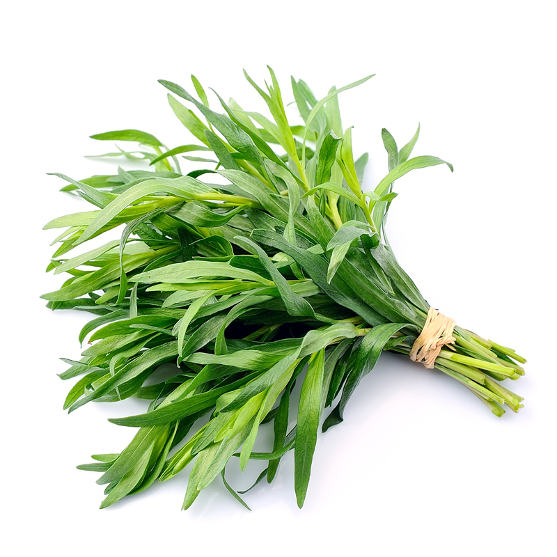 Tarragon