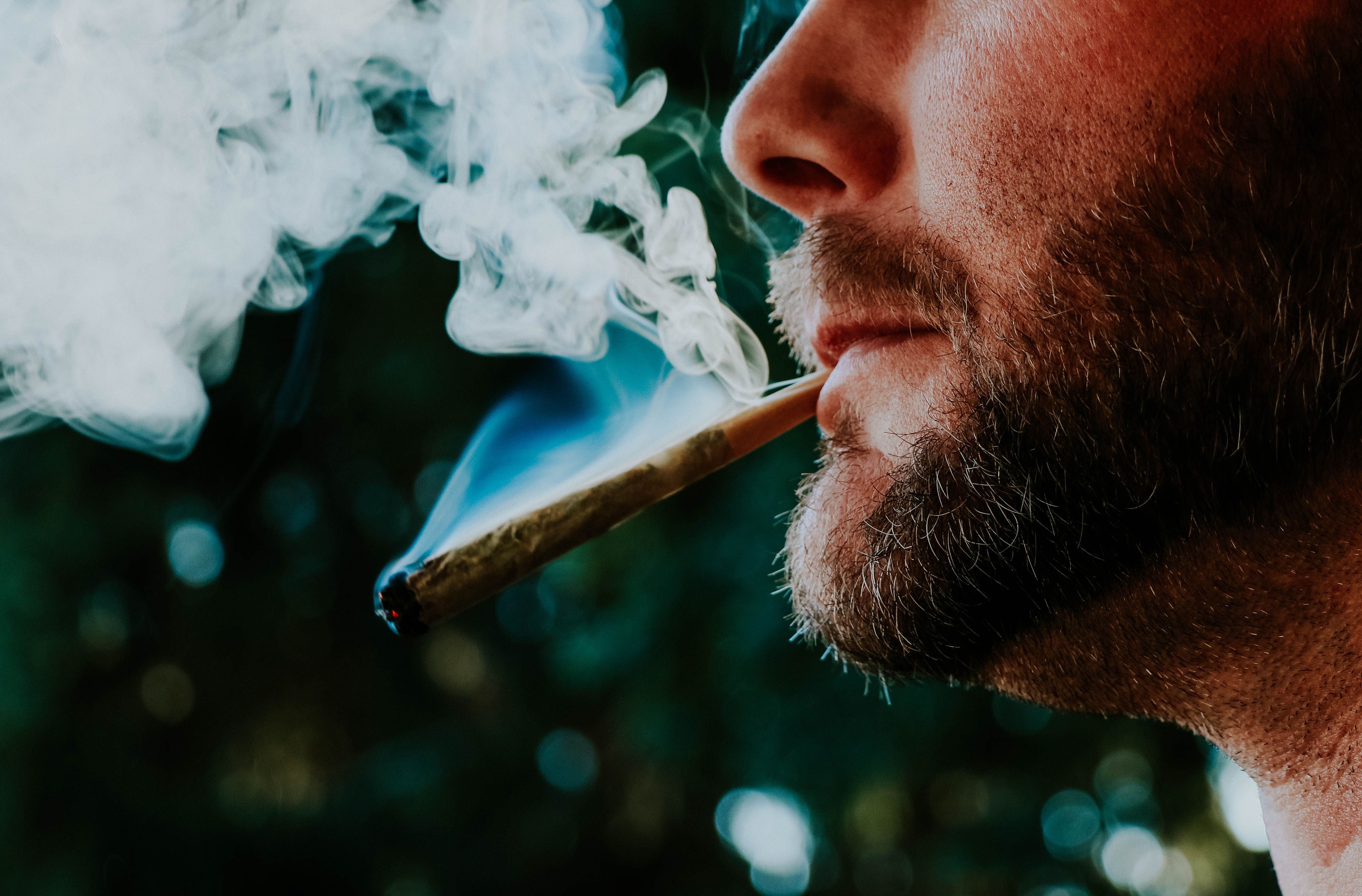 01M08SE56VQAY36BV1Z56T8VZR Man smoking a spliff