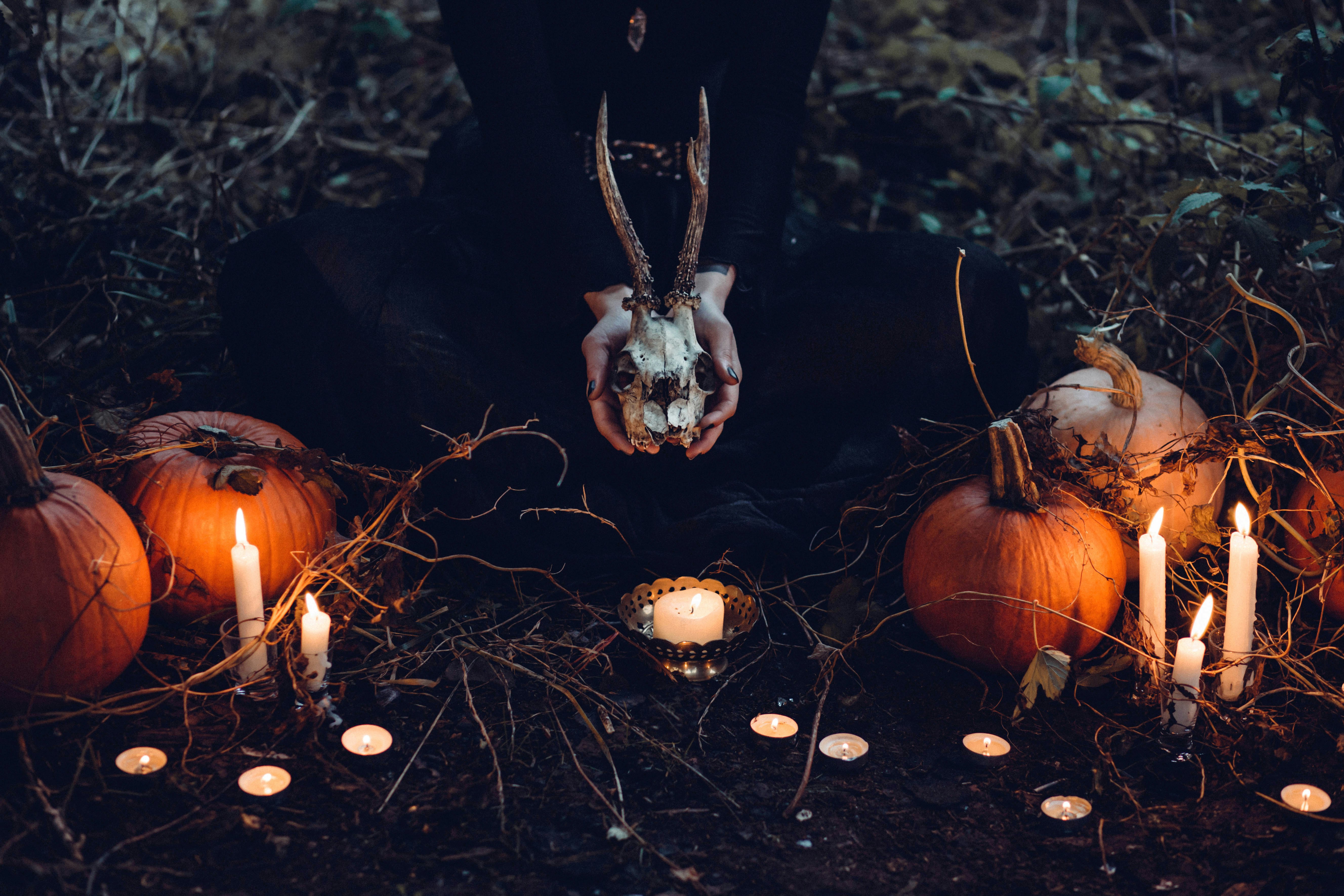 Herbs, Witches & the Moon: The Folklore Behind Bear Blend's Moon Collection