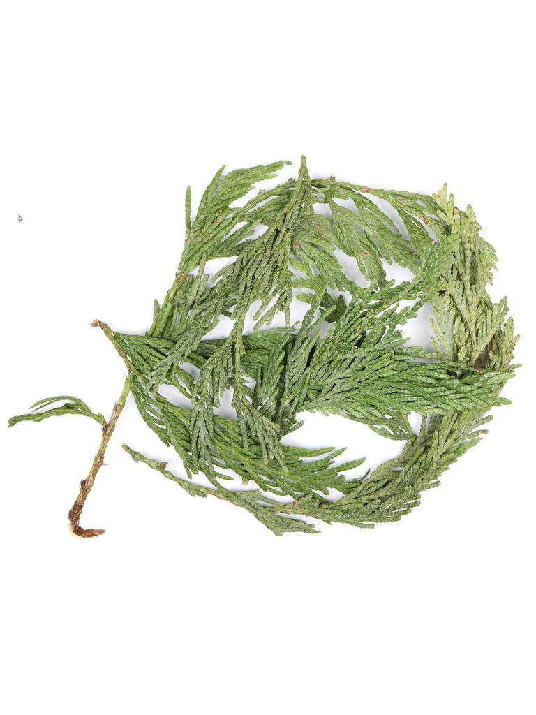 Loose Cedar - Bulk