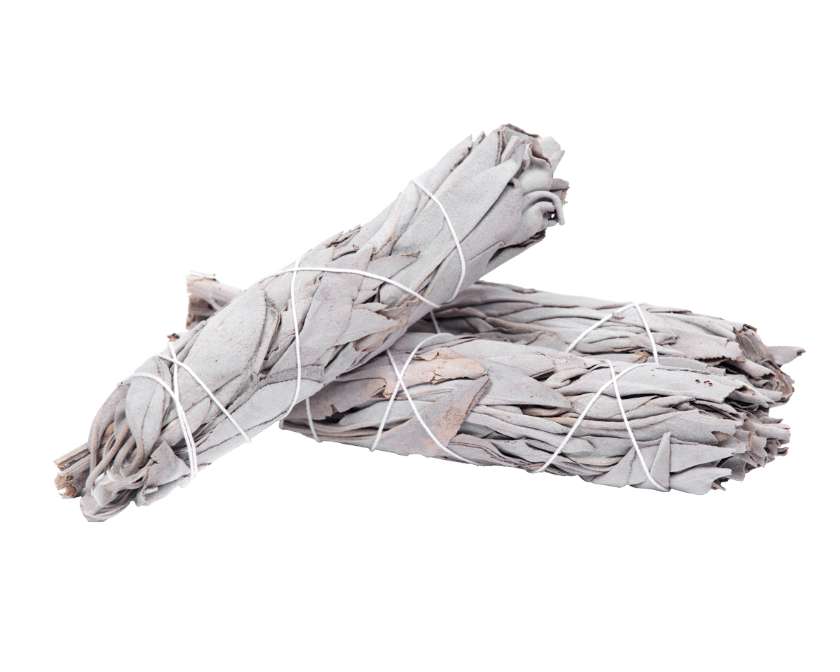 White Sage Smudge Stick — Ethically Farmed