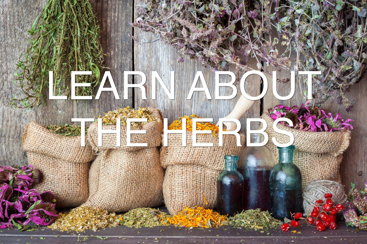 learn-about-herbs