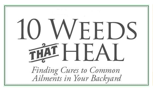 10 Weeds that Heal
