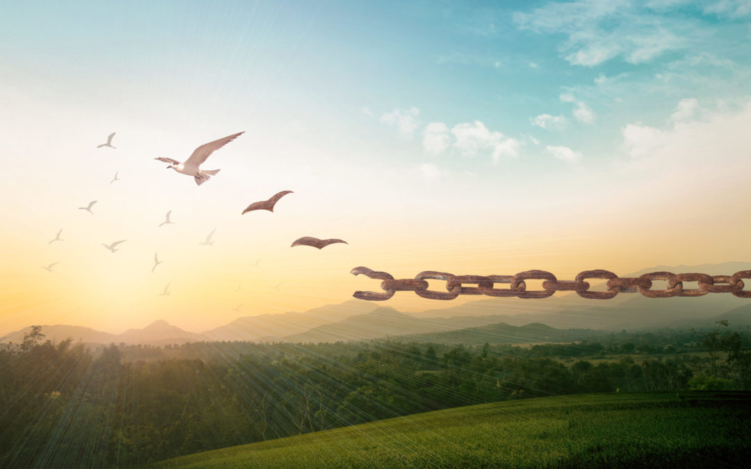 FreeMinds: An Herbal Smoke Program for Prisons & Institutions