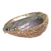 Abalone Shell
