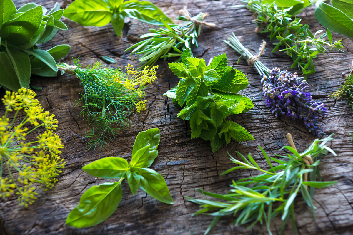 herbs for depression