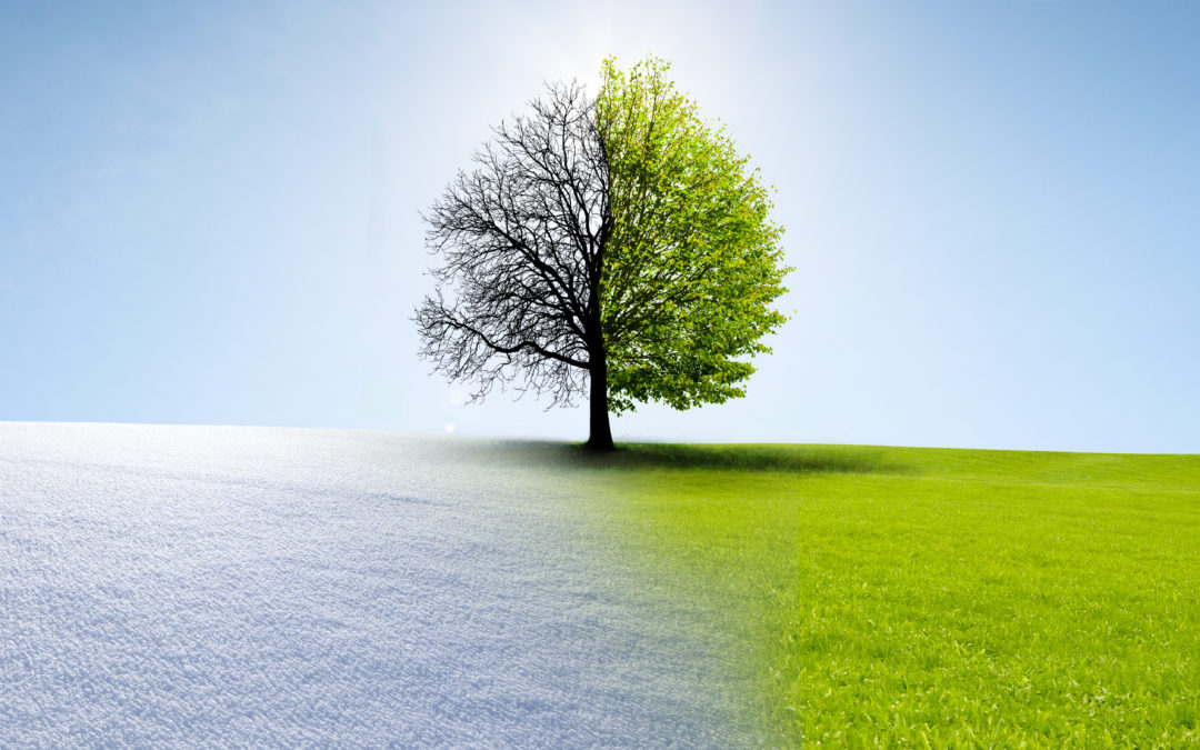 Just a Little Light:  Spring Equinox and the Healing of New Beginnings