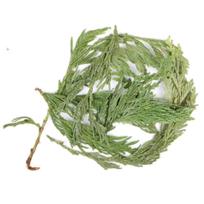 Loose Cedar - Bulk