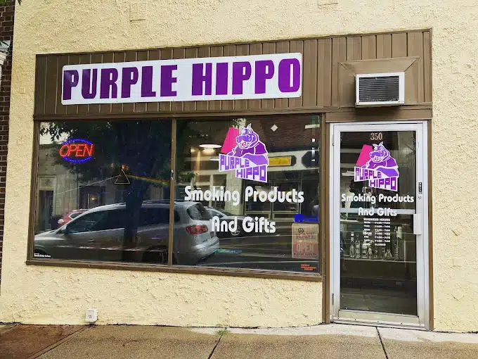 Purple Hippo