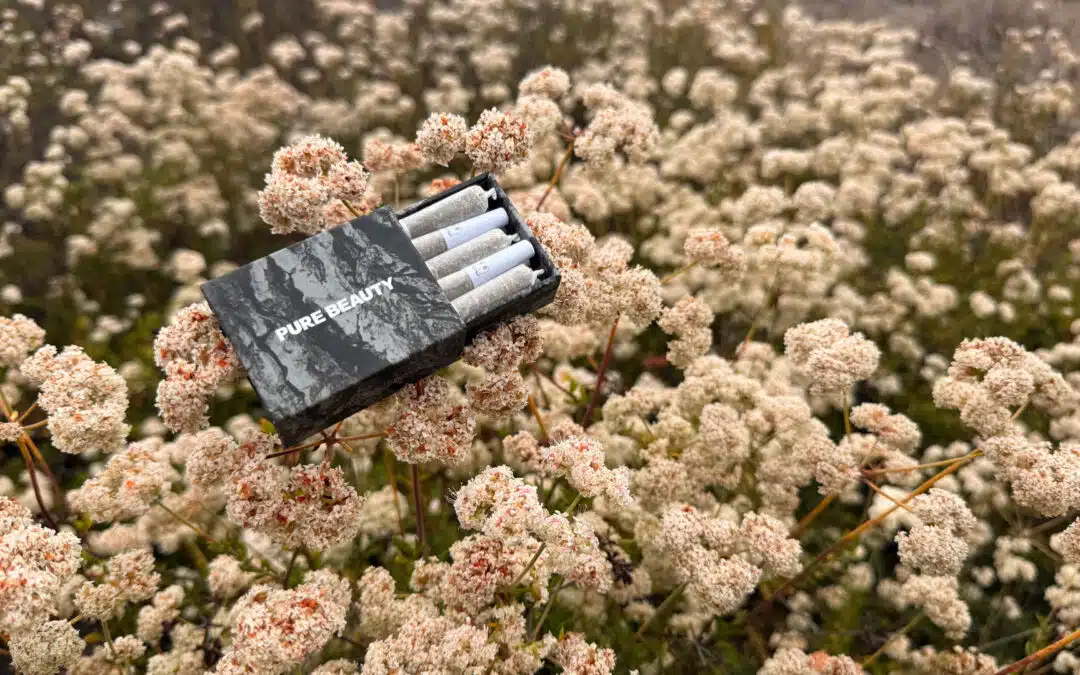 Pure Beauty and Bear Blend Smokable Herbs: Nature Speaks. Will You Listen?