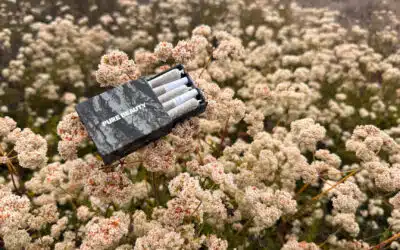 Pure Beauty and Bear Blend Smokable Herbs: Nature Speaks. Will You Listen?